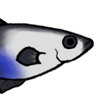 Thumbnail for ANI-4452: Tide