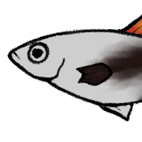 Thumbnail for ANI-4453: Scorch