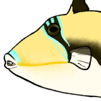 Thumbnail for ANI-4454: Vagabond