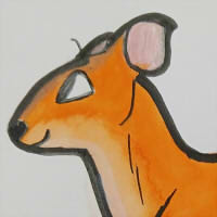 Thumbnail for ANI-4459: Red-flanked Duiker (F)