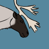 Thumbnail for ANI-4462: Caribou (M)