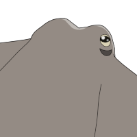 Thumbnail for ANI-4490: Flow