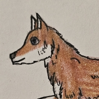 Thumbnail for ANI-4509: Ethiopian Wolf (F)