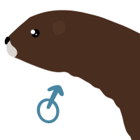 Thumbnail for ANI-4514: Philip