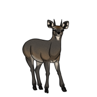 Thumbnail for ANI-4516: Peek