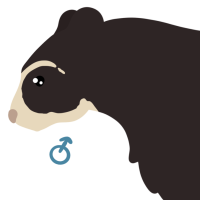 Thumbnail for ANI-4519: Spectacled Bear (M)