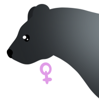 Thumbnail for ANI-4526: American Black Bear Glacier  (F)