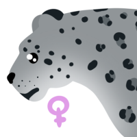 Thumbnail for ANI-4537: Snow Leopard (F)
