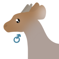 Thumbnail for ANI-4538: Beira Antelope (M)