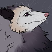 Thumbnail for ANI-4541: Virginia Opossum (M)