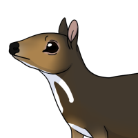 Thumbnail for ANI-4544: Sigyn