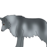 Thumbnail for ANI-4552: Riley