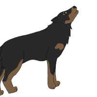 Thumbnail for ANI-4555: Dolly