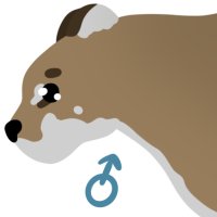 Thumbnail for ANI-4558: Cougar (M)