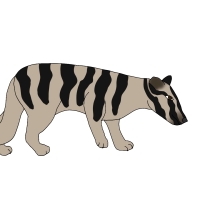 Thumbnail for ANI-4564: Pickle