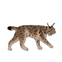 Thumbnail for ANI-4565: Ellie