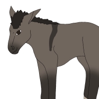 Thumbnail for ANI-4567: MJ