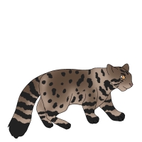 Thumbnail for ANI-4568: Purdy