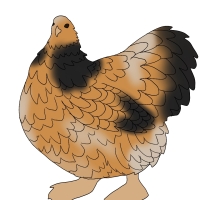 Thumbnail for ANI-4574: Roo