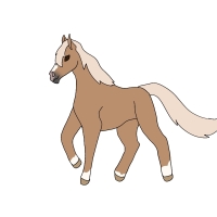 Thumbnail for ANI-4575: Sunny