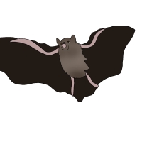 Thumbnail for ANI-4586: Talia