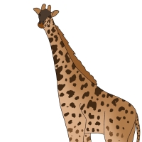 Thumbnail for ANI-4591: Todd