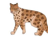 Thumbnail for ANI-4593: Cinnamon Roll