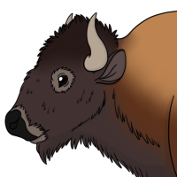 Thumbnail for ANI-4600: Shappa