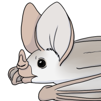 Thumbnail for ANI-4602: Wraith