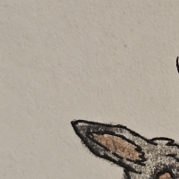 Thumbnail for ANI-4604: Bat-Eared Fox (M)