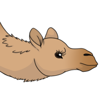 Thumbnail for ANI-4606: Gülay