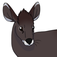 Thumbnail for ANI-4619: Tufted Deer (F)
