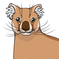 Thumbnail of ANI-4621: Thylacoleo (F)