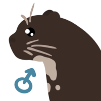 Thumbnail for ANI-4625: Giant Otter (M)