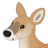 Thumbnail for ANI-4629: Reed