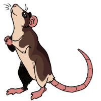 Thumbnail for ANI-4634: Jelly Roll