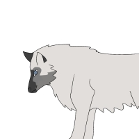 Thumbnail for ANI-4645: Species-Specific Grey Wolf (M)