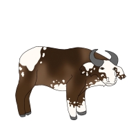 Thumbnail for ANI-4646: Vitiligo African Buffalo Forest  (M)