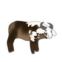 Thumbnail for ANI-4648: Vitiligo African Buffalo Forest  (M)