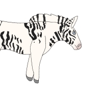 Thumbnail for ANI-4649: Piebald Grévy's Zebra (F)