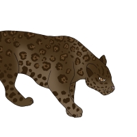 Thumbnail for ANI-4651: Chocolate Jaguar (F)