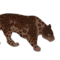 Thumbnail for ANI-4652: Chocolate Jaguar (M)