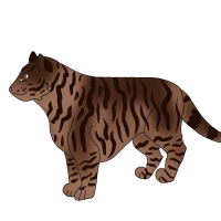 Thumbnail for ANI-4654: Chocolate Siberian Tiger (M)