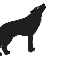Thumbnail for ANI-4656: Alexander Archipelago wolf (F)
