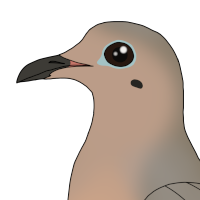 Thumbnail for ANI-4657: Melody