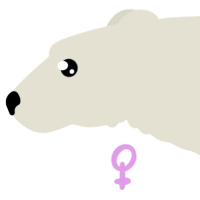 Thumbnail for ANI-4662: Polar Bear (F)