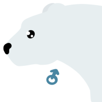 Thumbnail for ANI-4663: Polar Bear (M)