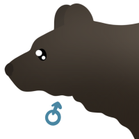 Thumbnail for ANI-4666: Brown Bear (M)