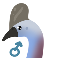 Thumbnail for ANI-4667: Southern Cassowary (M)