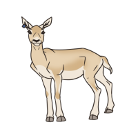 Thumbnail for ANI-4679: Daiquiri